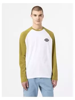 Футболка Dickies, цвет wei/grn
