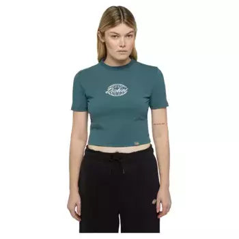 Футболка Dickies Globe, зеленый