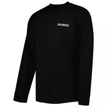Футболка Dickies Hays, черный