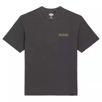 Футболка Dickies High Flying, серый