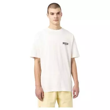 Футболка Dickies Kelso, белый