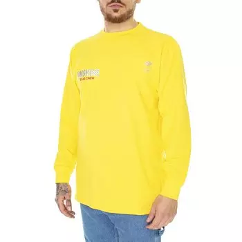 Футболка Dickies New York Sunshine Texas, желтый