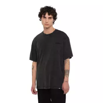 Футболка Dickies Plentywood, черный