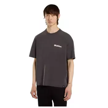 Футболка Dickies Slayden GD, серый
