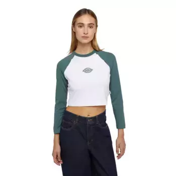 Футболка Dickies Sodaville, белый/зеленый
