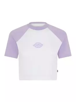 Футболка Dickies SODAVILLE, светло-фиолетовый