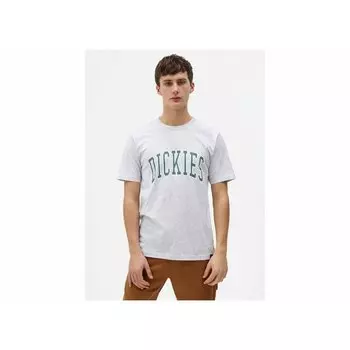 Футболка Dickies T-Shirt Aitkin, серый