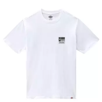 Футболка Dickies Taylor, белый