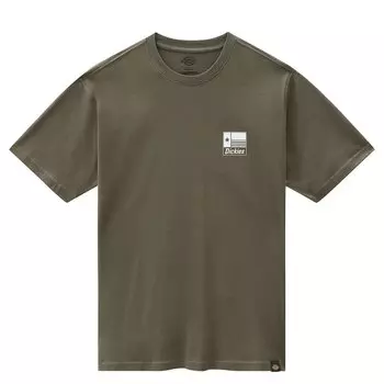 Футболка Dickies Taylor, зеленый