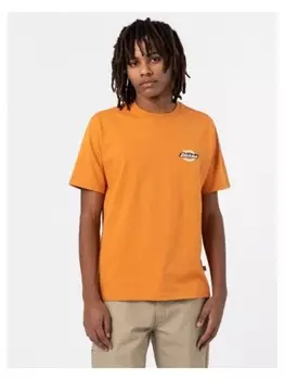 Футболка Dickies Tshirt, оранжевый