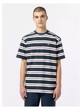 Футболка Dickies Tshirt, разноцветный