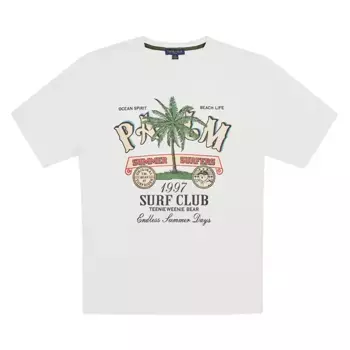 Футболка для кемпинга унисекс Teenie Weenie Men, серый