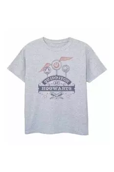 Футболка для квиддича Harry Potter, серый