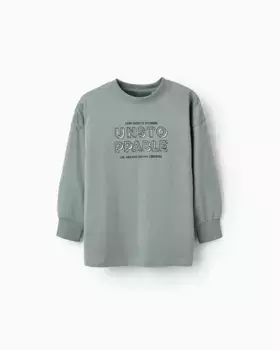 Футболка для мальчика с длинными рукавами и рисунком спереди Zippy, серый