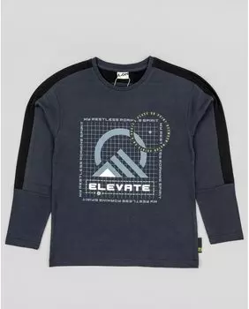 Футболка для мальчика с длинными рукавами и рисунком спереди Losan, темно-серый