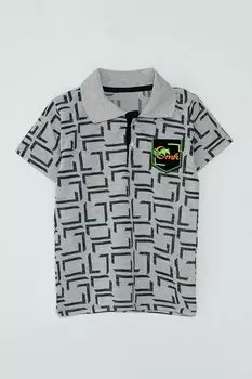 Футболка для мальчика с коротким рукавом и гербом JackandRoy, коричневый