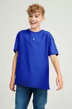Футболка для мальчика с небольшим логотипом в виде хвостика Polo Ralph Lauren, синий