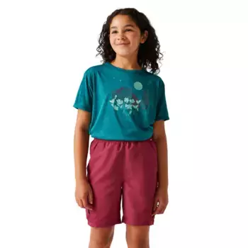 Футболка для мальчиков Alvarado IX Regatta, пурпурный