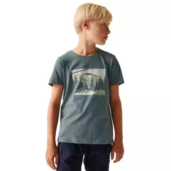 Футболка для мальчиков BosleyVIII Regatta, серый/синий