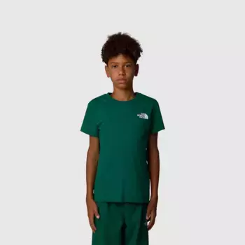 Футболка для мальчиков Redbox The North Face, зеленый