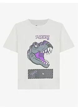 Футболка для мальчиков SK241093-102-Graphic Tee B Shrt Slv Skechers