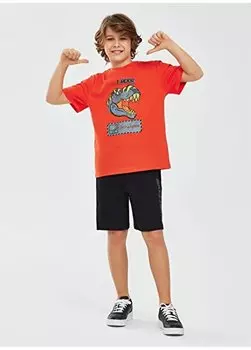 Футболка для мальчиков SK241093-700-Graphic Tee B Shrt Slv Skechers