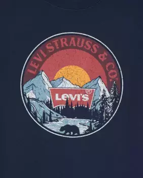 Футболка для мальчиков Sunrise Over the Ridge Levi's, синий