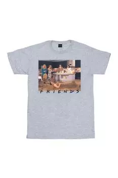 Футболка Джои Русалка Friends, серый