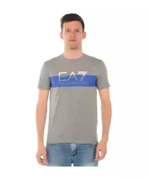 Футболка Emporio Armani Ea7, серый