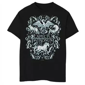 Футболка Expecto Patronum для мальчиков 8–20 лет с рисунком Гарри Поттера Licensed Character