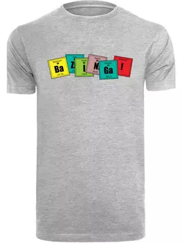 Футболка F4NT4STIC Big Bang Theory Bazinga, пестрый серый