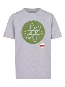 Футболка F4NT4STIC Big Bang Theory TV Serie Big Bang, пестрый серый