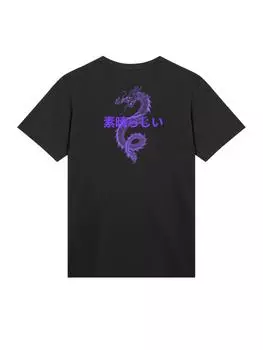 Футболка F4NT4STIC, черный