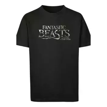 Футболка F4NT4STIC «Фантастические твари Fantastic Beasts Text Logo», принт, черный