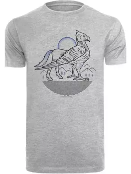 Футболка F4NT4STIC Harry Potter Buckbeak Line Art, пестрый серый