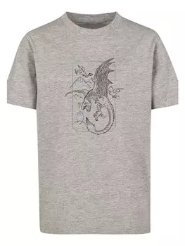 Футболка F4NT4STIC Harry Potter Dragon Line Art, пестрый серый