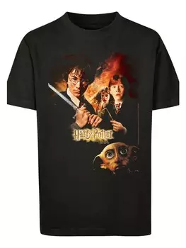 Футболка F4NT4STIC Harry Potter Kammer des Schreckens Poster, черный