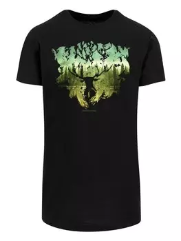 Футболка F4NT4STIC Harry Potter Magical Forest, черный