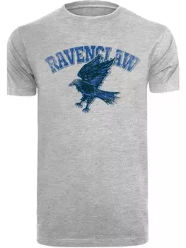 Футболка F4NT4STIC Harry Potter Ravenclaw Sport Emblem, пестрый серый