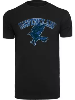 Футболка F4NT4STIC Harry Potter Ravenclaw Sport Emblem, черный