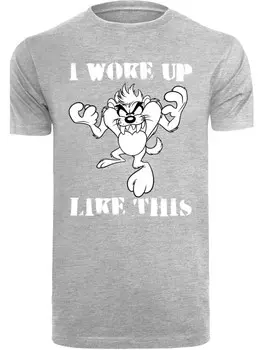 Футболка F4NT4STIC Looney Tunes Taz I Woke Up Like This, пестрый серый