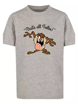 Футболка F4NT4STIC Looney Tunes Taz Thats All Folks, пестрый серый