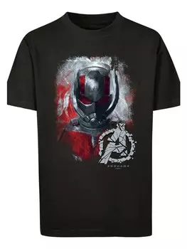 Футболка F4NT4STIC Marvel Avengers Endgame Ant Man Brushed, черный