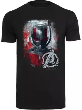 Футболка F4Nt4Stic Marvel Avengers Endgame Ant-Man Brushed, черный