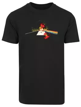 Футболка F4Nt4Stic Pink Floyd, черный