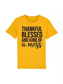Футболка F4NT4STIC Shirt thankful blessed and kind of a mess, желтый