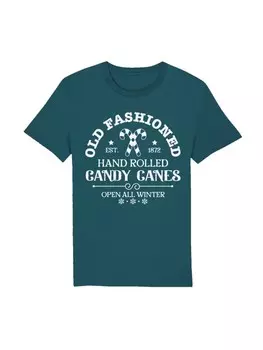 Футболка F4NT4STIC T-Shirt Cany Canes Retro Weihnachts Sign, цвет stargazer