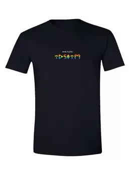 Футболка F4NT4STIC T-Shirt Pink Floyd TDSOTM Rainbow, черный