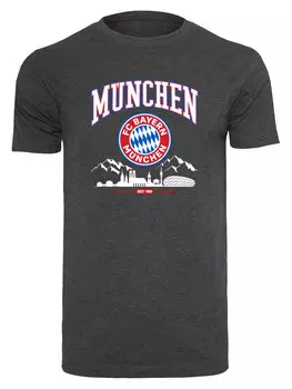 Футболка FC Bayern, цвет charcoal