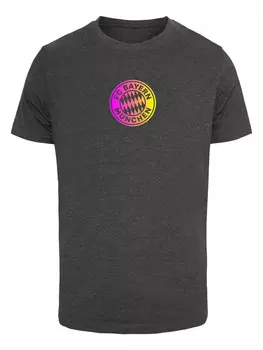 Футболка FC Bayern, цвет charcoal